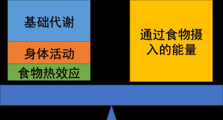 揭秘蝙蝠侠骑士打斗食品，你猜不到的超级英雄饮食习惯