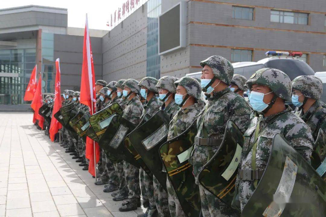 明日方舟资深干员tag最新_明日方舟资深干员搭配支援_明日方舟资深干员tag搭配