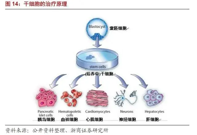 明日方舟资深干员tag搭配_明日方舟资深干员搭配支援_明日方舟资深干员搭配标签