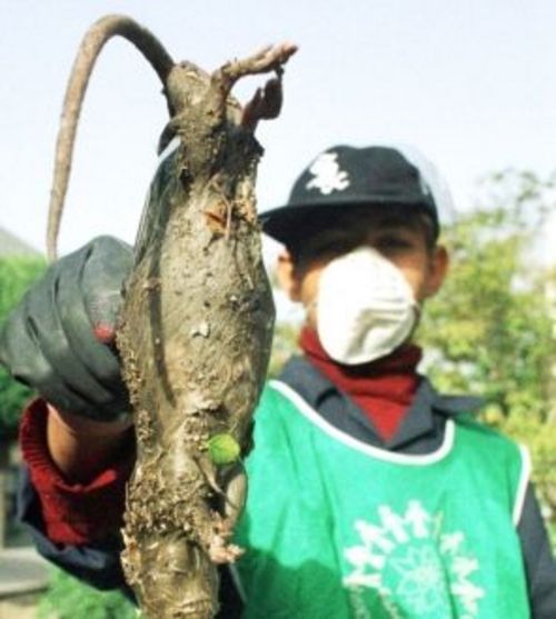 诛仙卡级玩什么职业好_生化危机浣熊市行动好玩吗_生化危机浣熊市行动玩起来好卡