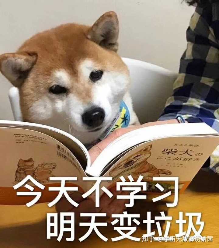 查分数软件下载_查分数app下载_查分数的app