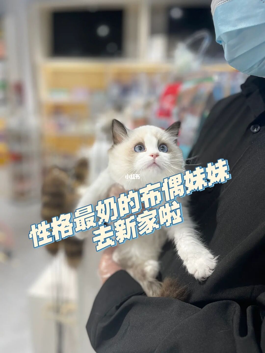 奶萝_小萝莉奶音酱的微博
