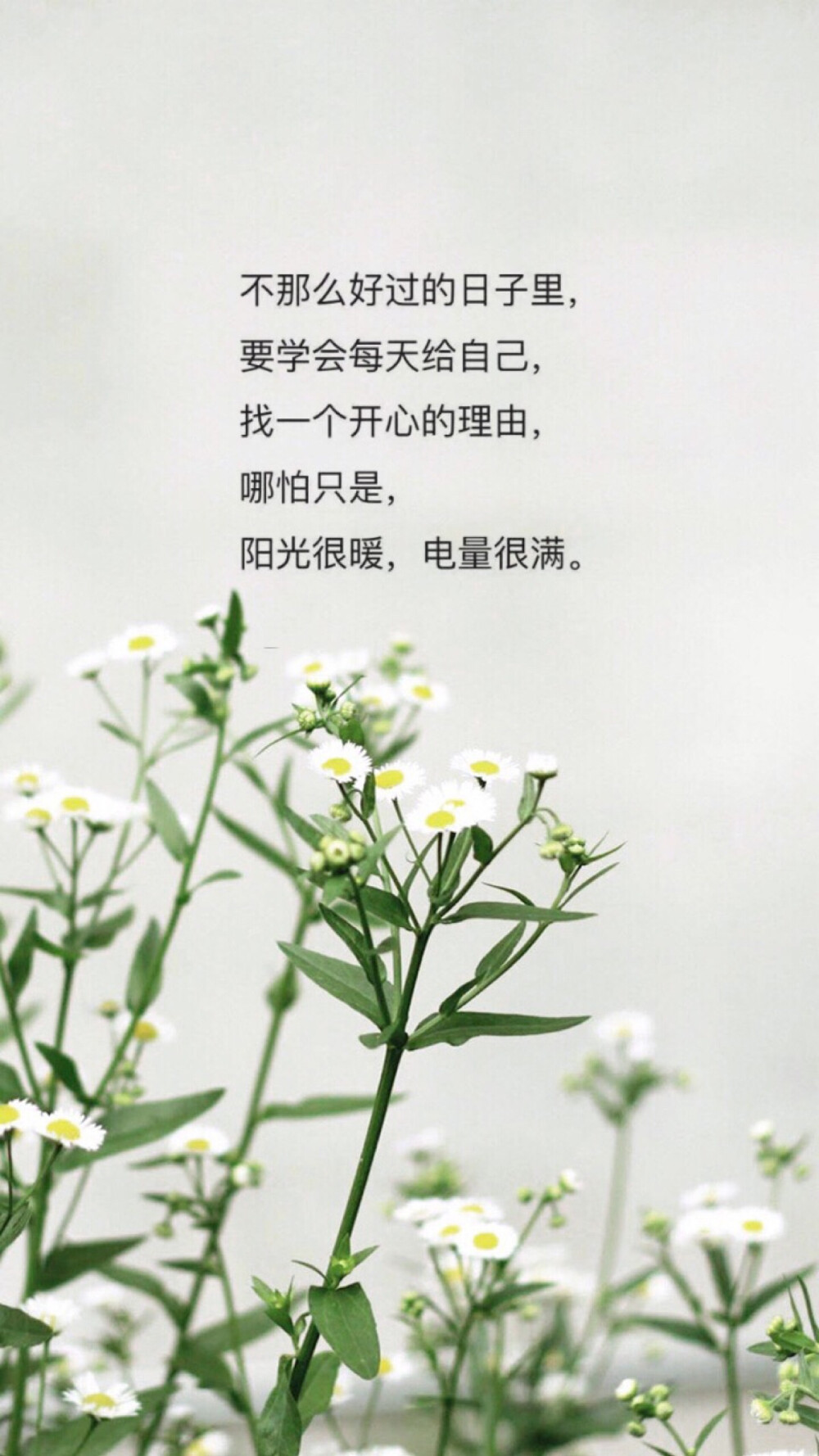 开心锤锤_开心8_开心消消乐