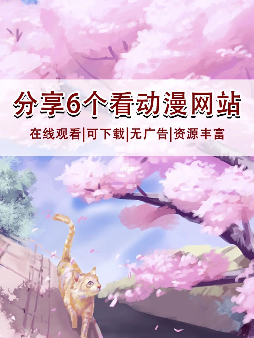 樱花动漫网站网址知乎_樱花官网官方入门网站_樱花动漫网站网址
