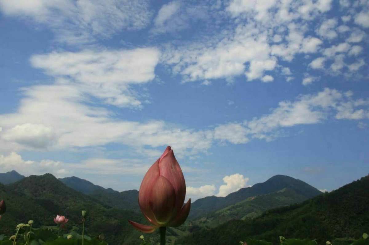 逍遥天地_逍遥天地游百度云_逍遥天地游