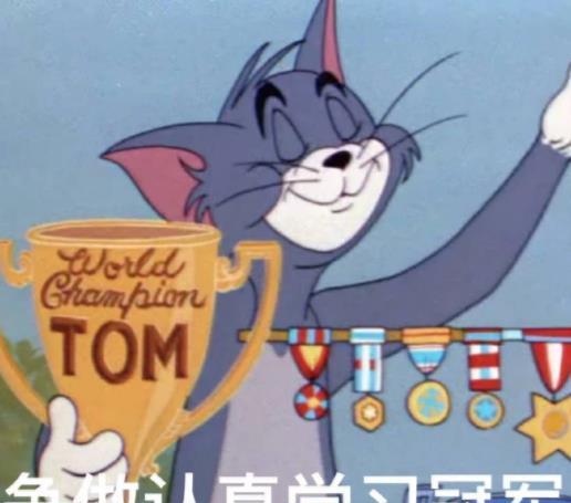汤姆avtom_汤姆猫的汤姆猫的游戏_汤姆猫的游戏我的汤姆