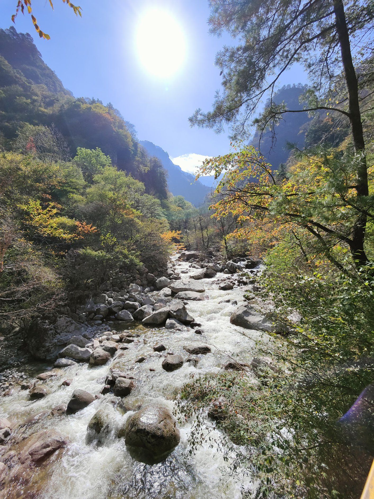 忘却之峡解锁_忘却之峡入口在哪_忘却之峡不出金