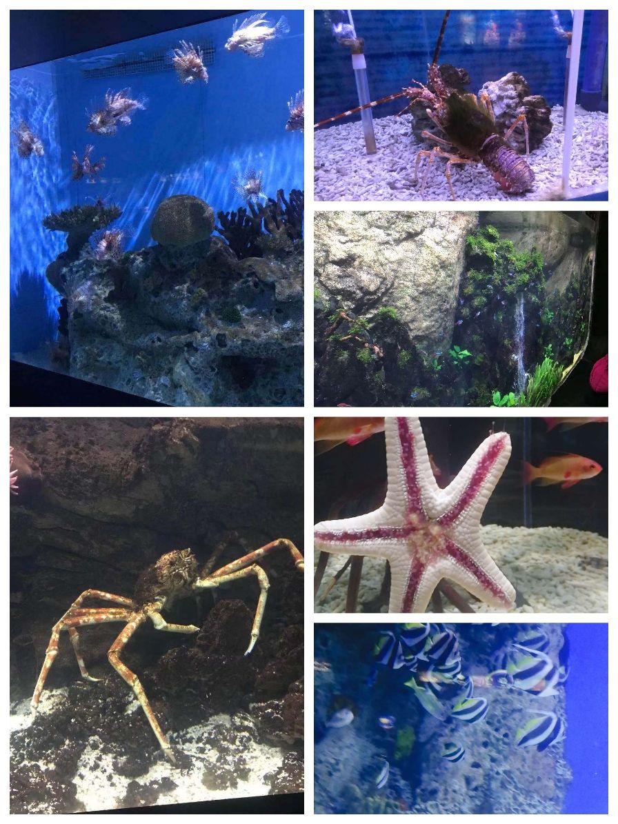 我的世界生物_生物世界视频_生物世界探秘之旅