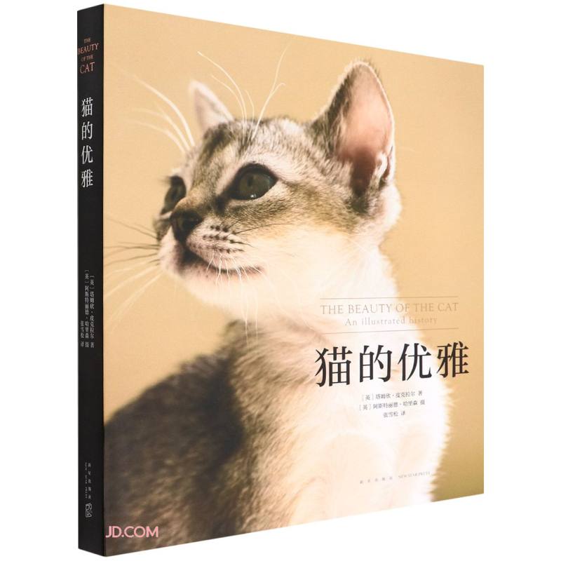 猫道_猫道结构图_猫道构造包含