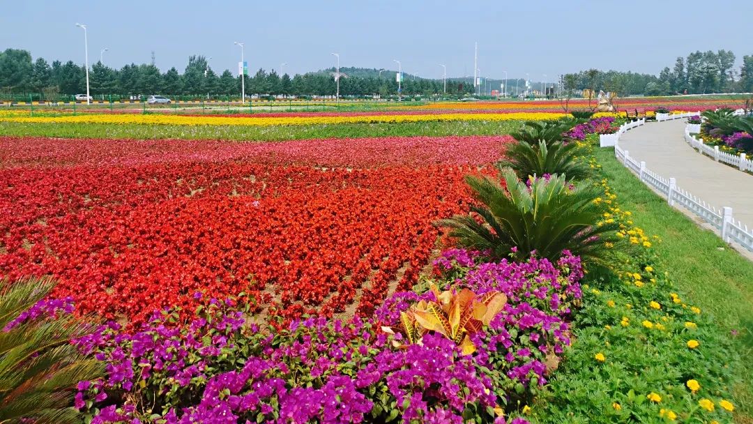 花陵_陵花亦山传记故事_陵花亦山心之月