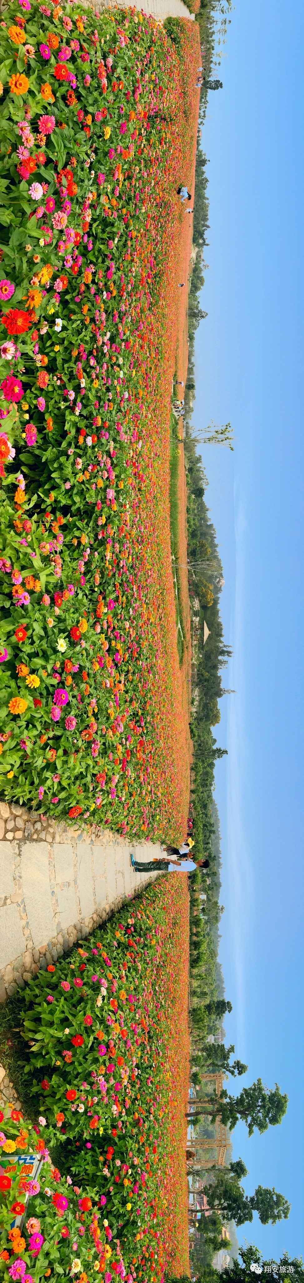 陵花亦山传记故事_花陵_陵花亦山心之月