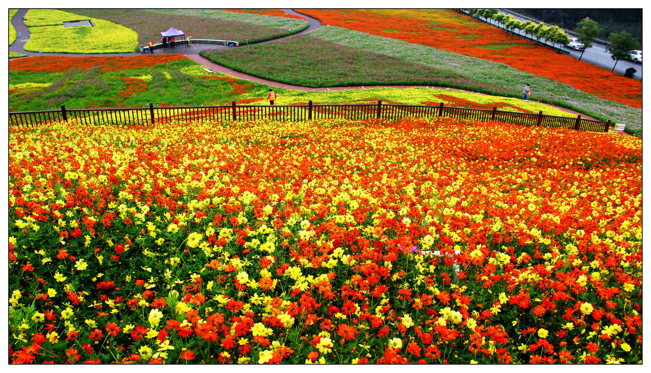 陵花亦山心之月_陵花亦山传记故事_花陵