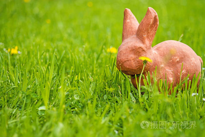 兔子快跑_快跑兔子快跑绘本教案_快跑兔子快跑