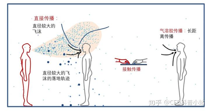 瘟疫病毒游戏_病毒游戏_病毒游戏公司破解版