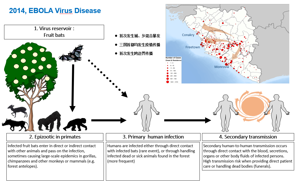 病毒游戏公司破解版_瘟疫病毒游戏_病毒游戏