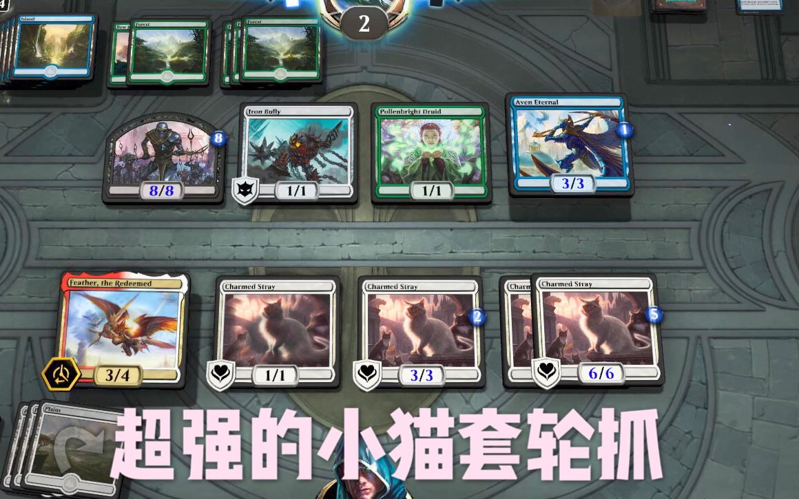 爱丁猫_爱丁猫_爱丁猫