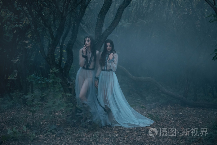 妖精网站的代码是多少_妖精网站