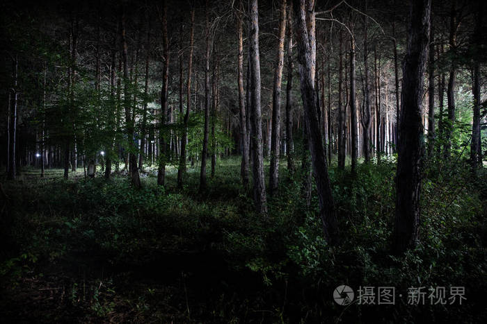 妖精网站的代码是多少_妖精网站