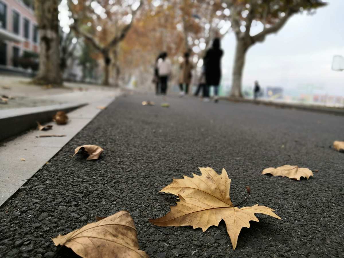 亡语小说_亡语是什么意思_亡语