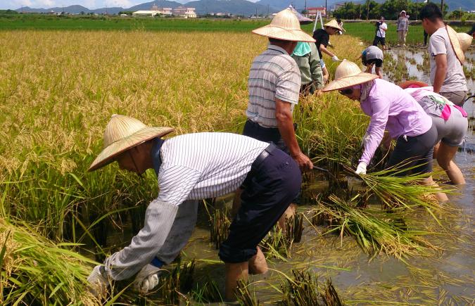 马里尼亚诺战役日本_马里尼_马里尼亚诺