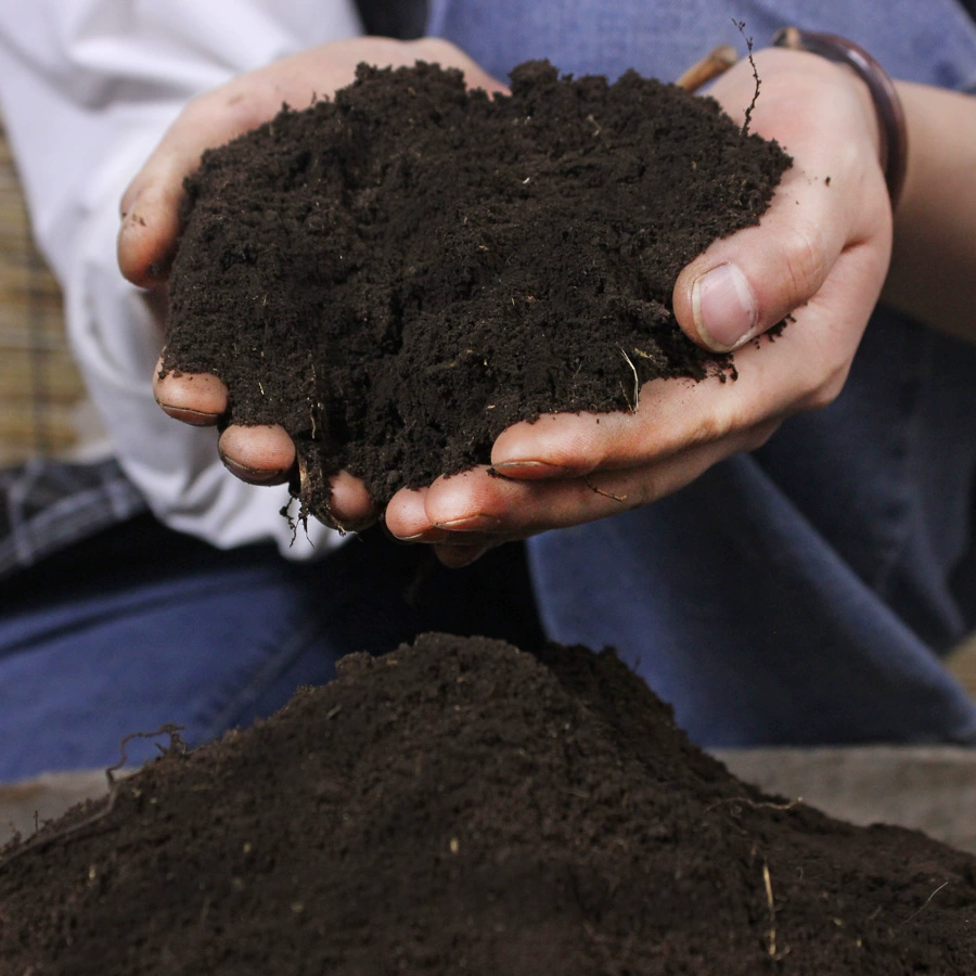 碳泥土价格_炭泥是什么_泥碳
