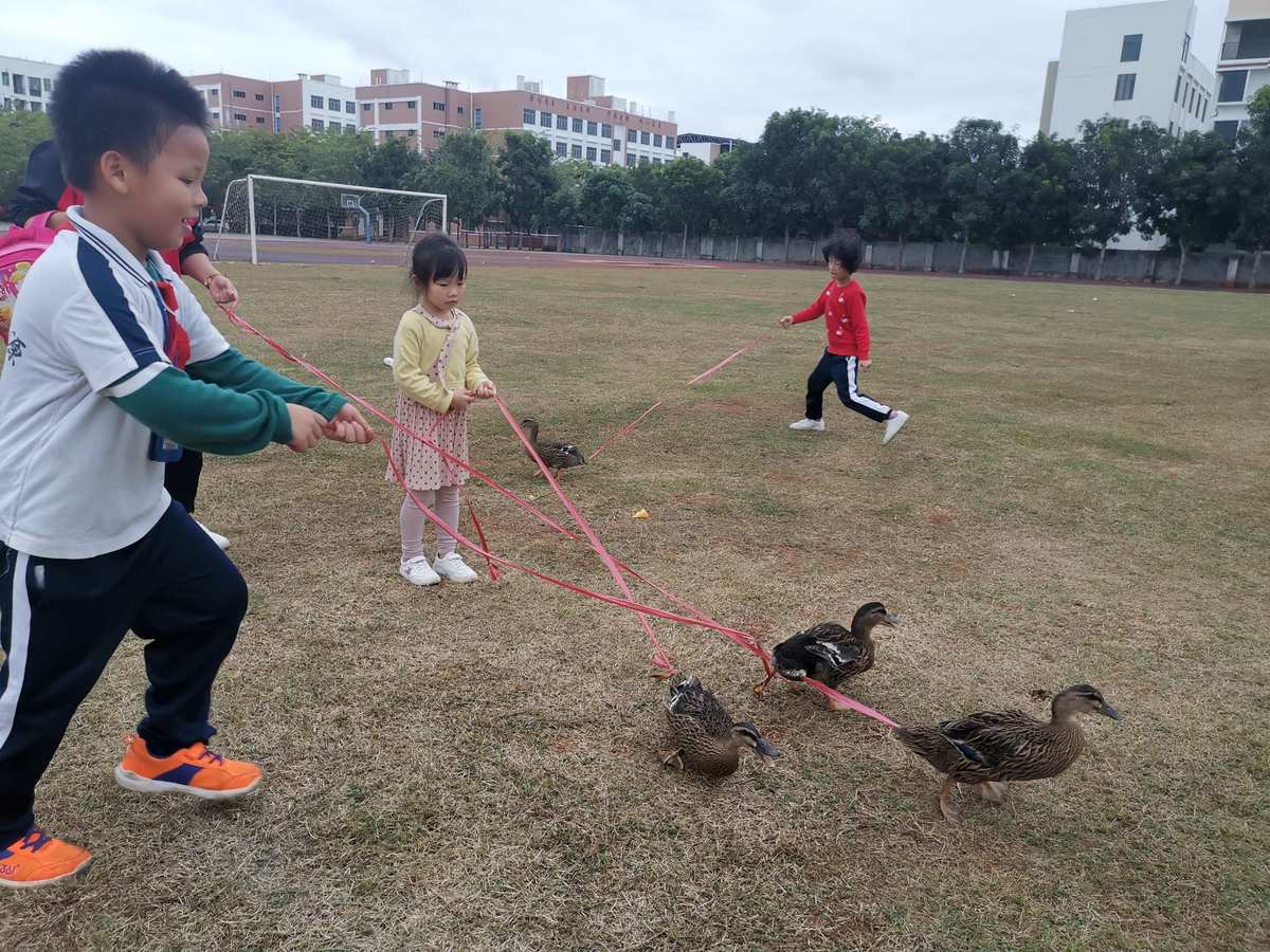 小小英雄大乱斗_小小英雄大作战_小小大英雄