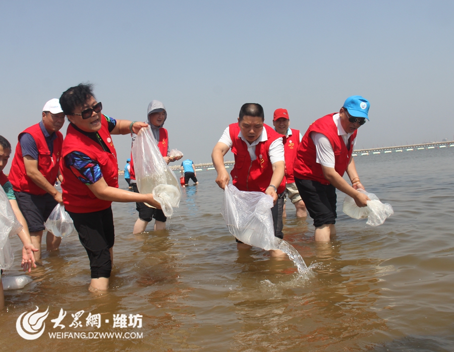 世界征服者4海狮行动_第二次海狮行动_海狮行动