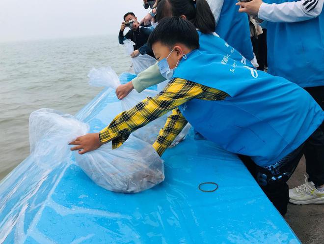 海狮行动_第二次海狮行动_世界征服者4海狮行动