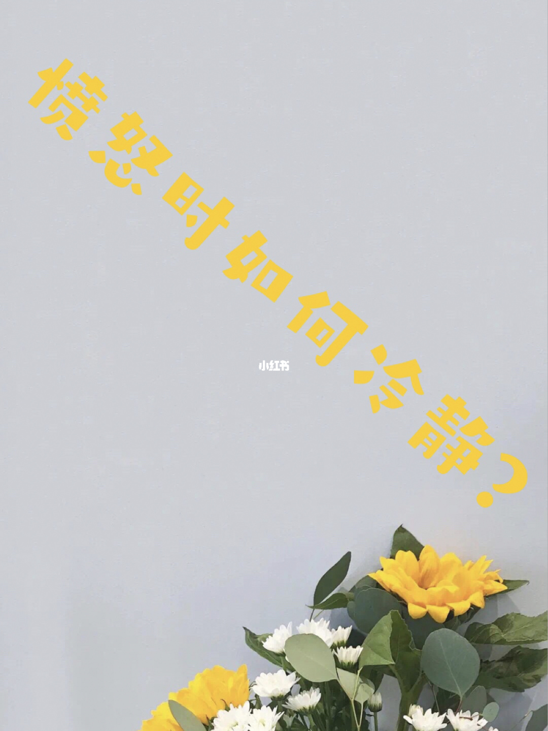 暴怒七宗罪理解_暴怒七宗罪图片_七宗罪暴怒