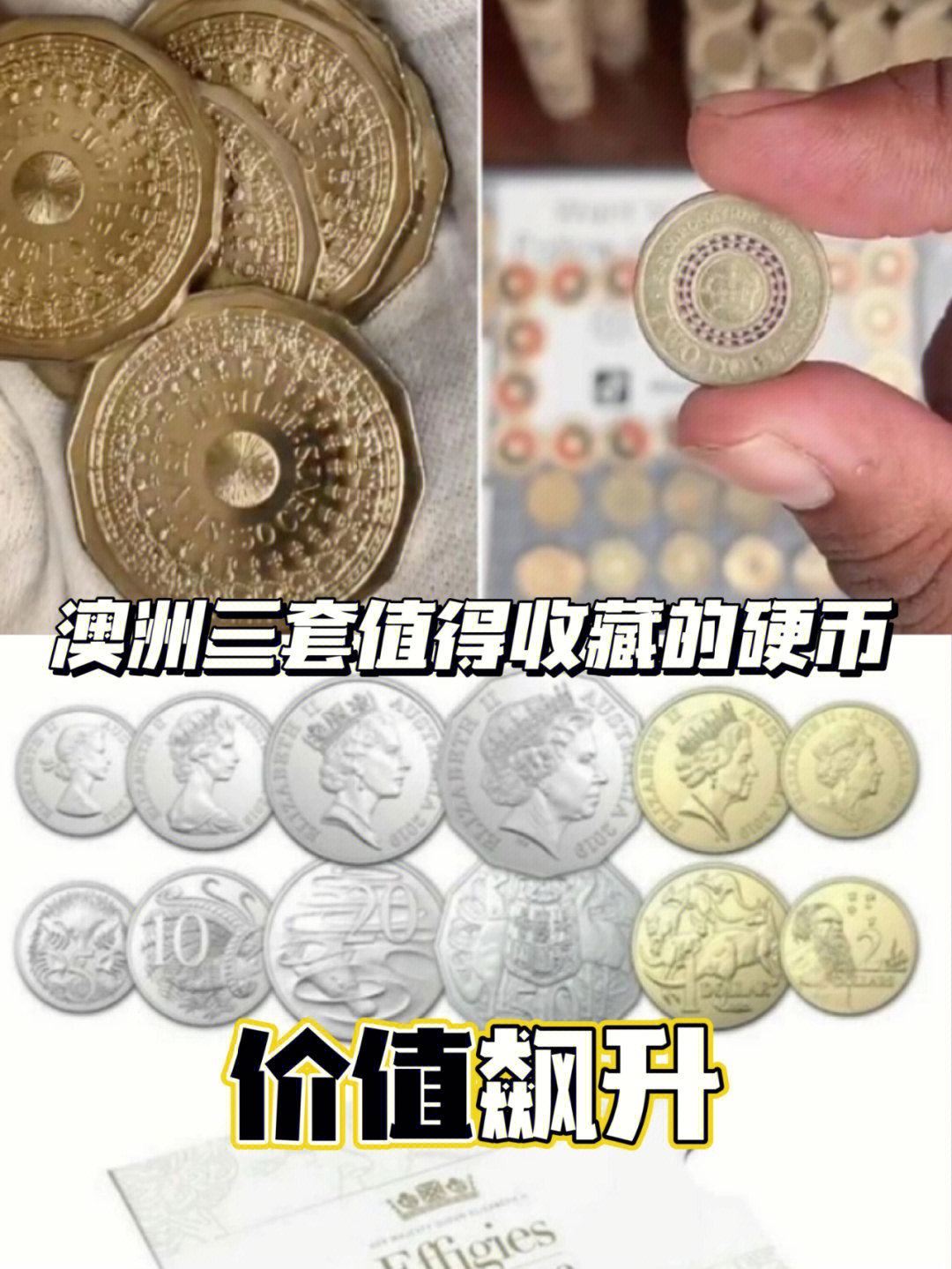 收集硬币_硬币收集计划为什么会获得成功_朱紫硬币收集