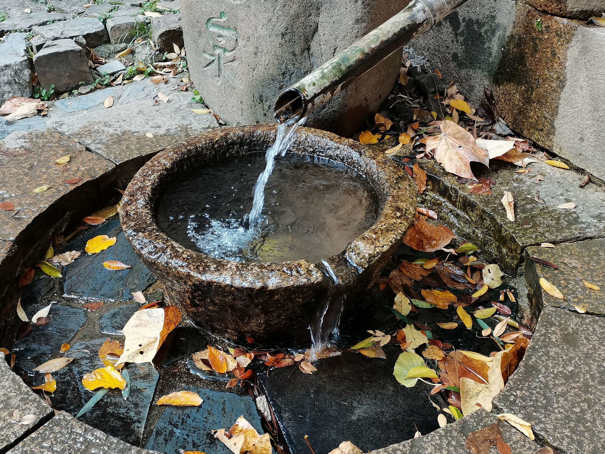 涩涩爱同涩网97涩爱_泉涩_涩泉丸药