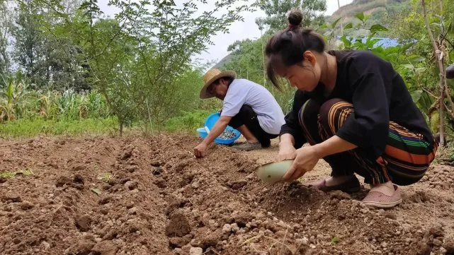 种地勇者：我家乡的美丽乡村