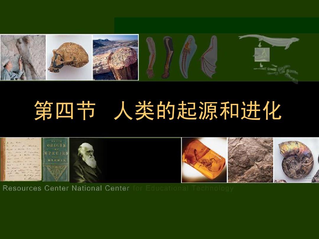 进化史人类游戏有哪些_人类进化史游戏_人类进化的游戏
