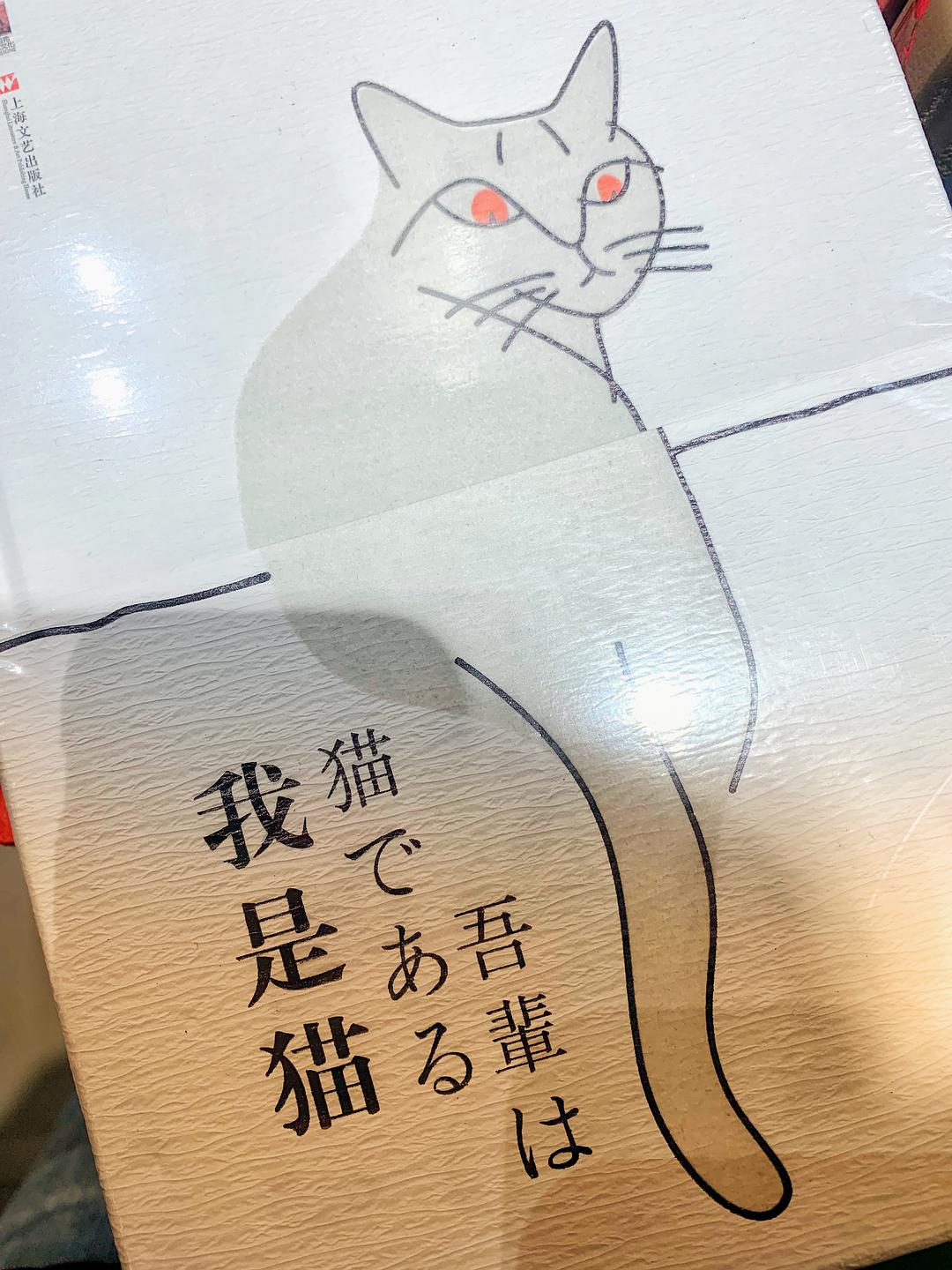 猫翻译器下载_猫语翻译机器_猫语翻译器在线使用