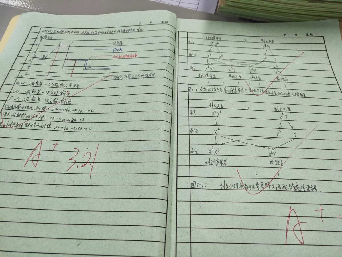 批改作业的软件_学生批改作业软件_批改作业软件下载