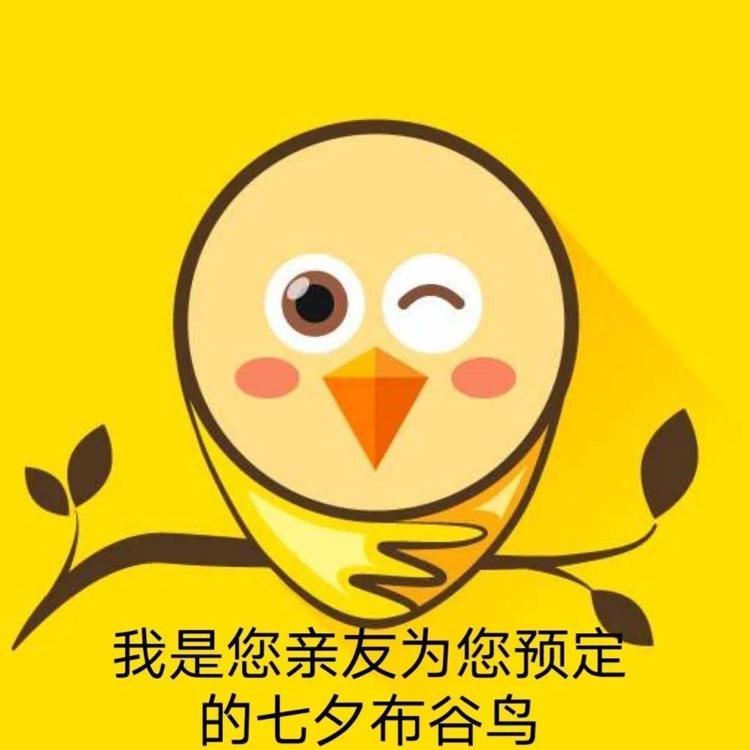 开摆鸟表情包_55开表情包_守望先锋表情包开黑吗我玩源氏