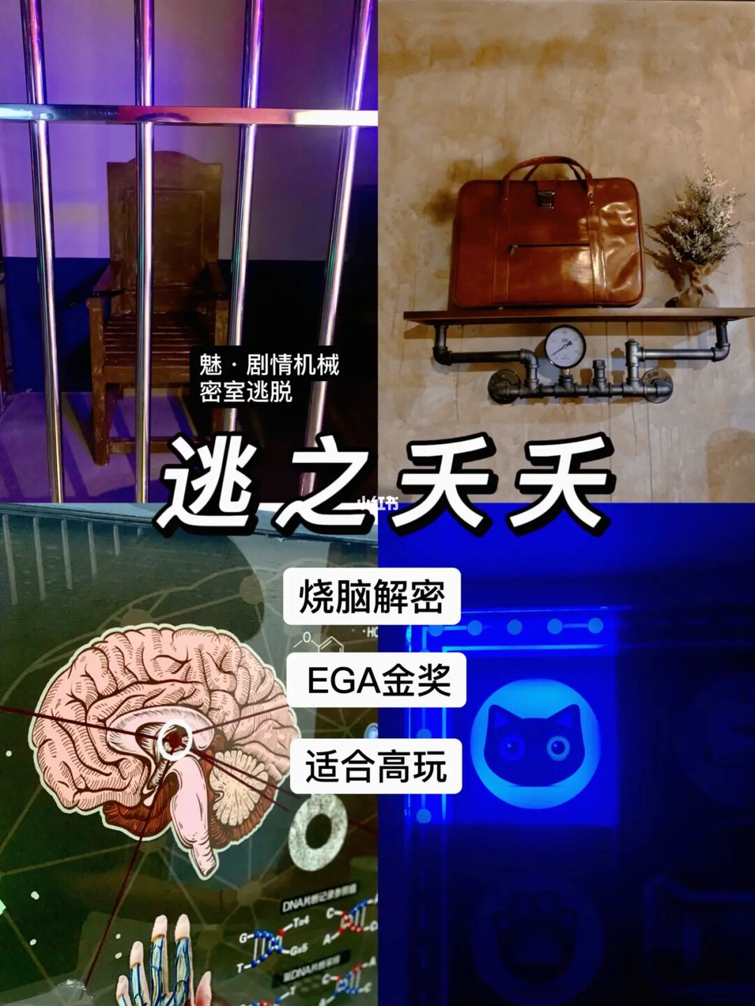 超级烧脑手机游戏_烧脑游戏软件_超级烧脑的手机游戏