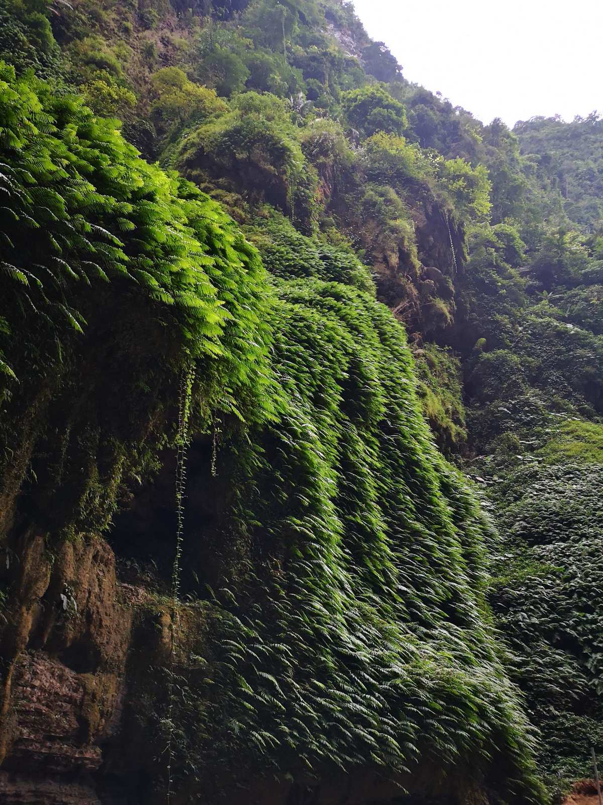 绝区零_区长落水身亡_区域协调发展的基本目标是