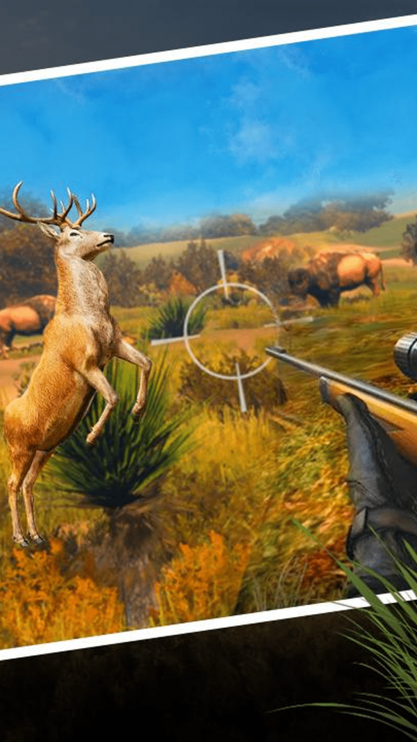 一款狙击动物的游戏_狙击手动物狩猎破解版_动物狙击手手机游戏下载
