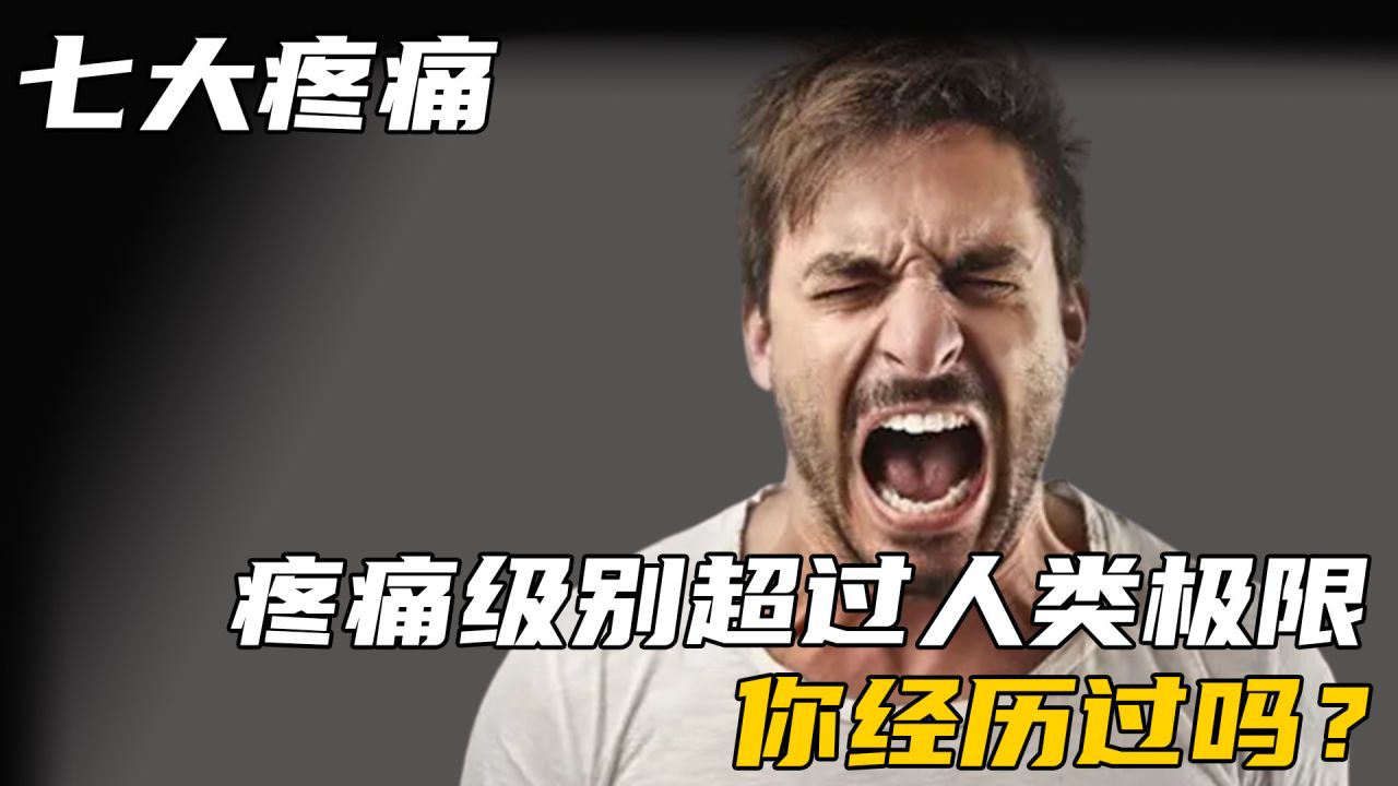 野球拳什么意思_日在野球拳_野球拳通关