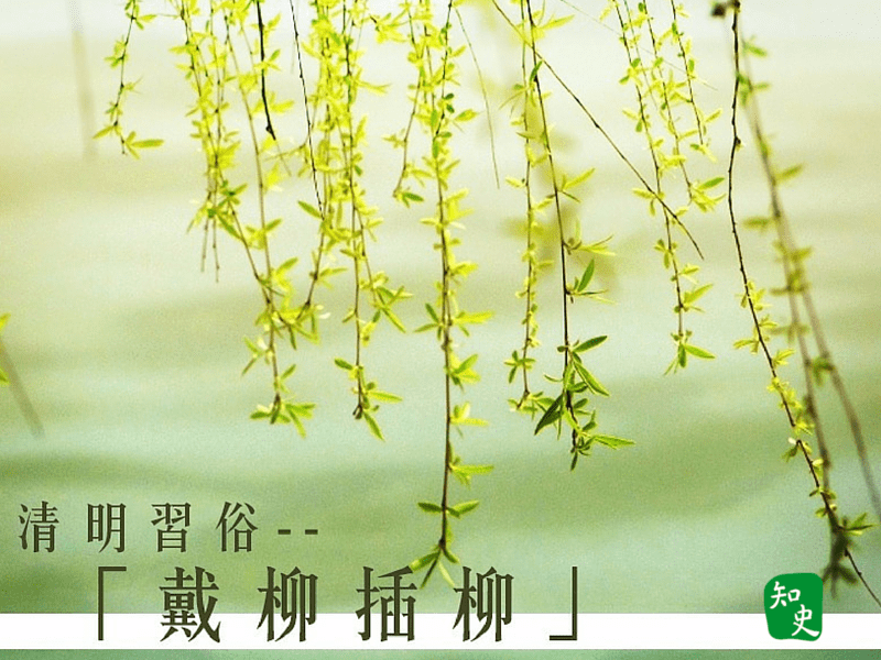 清明插柳枝意思是什么_清明插柳枝是什么意思啊_清明插柳枝的来历