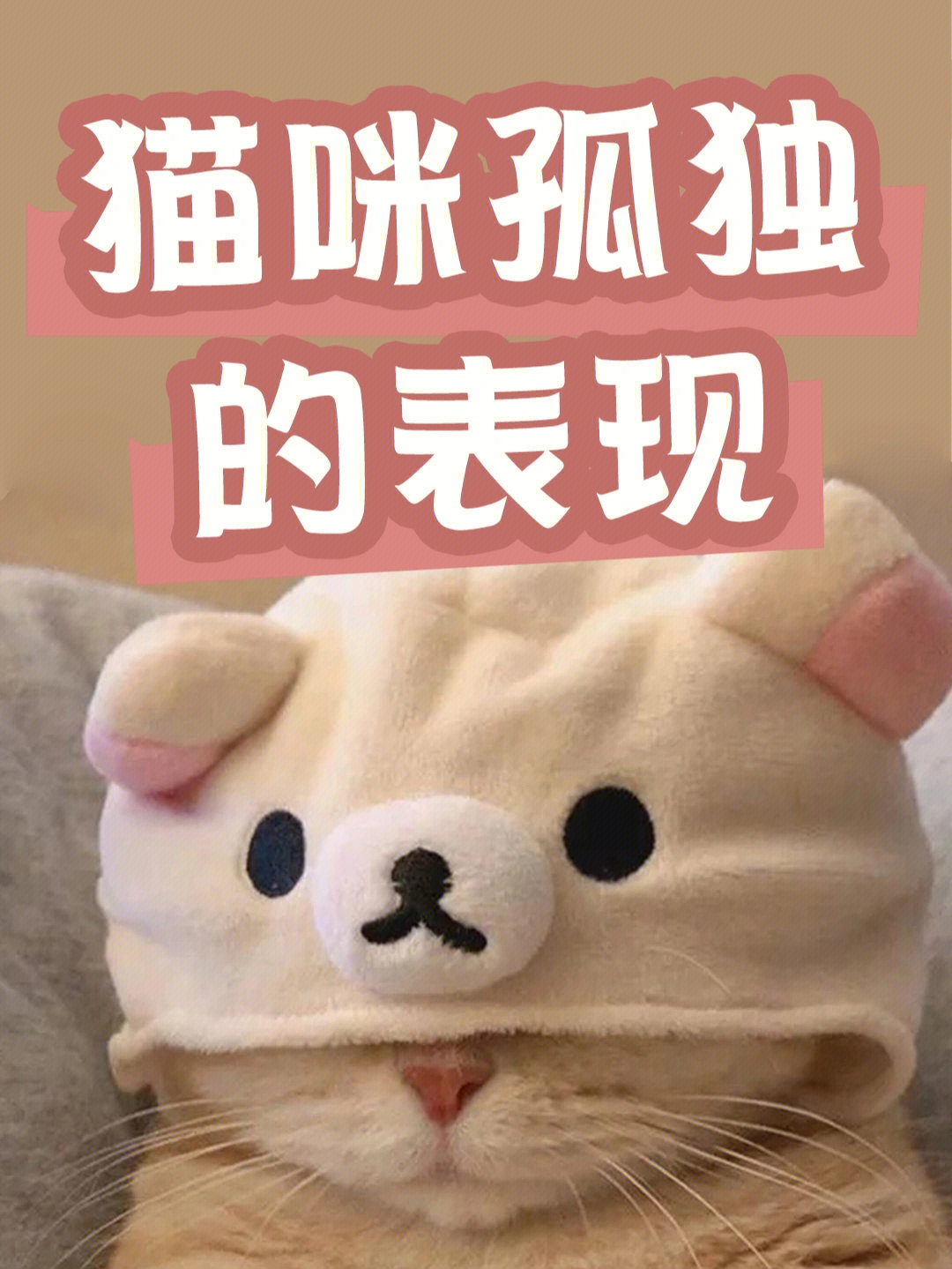 手游猫app_it猫手机游戏_猫游戏软件