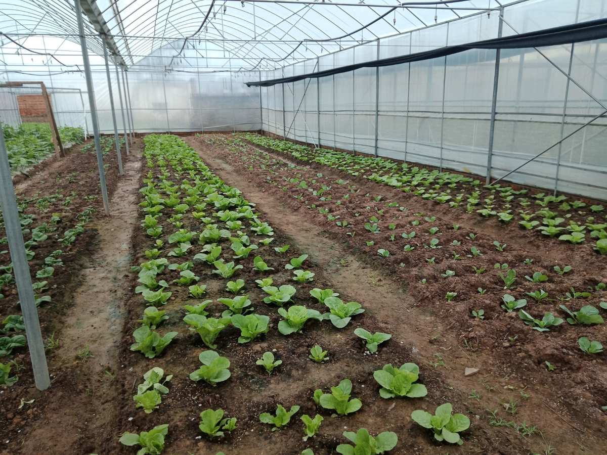 儿童手机游戏大全5-12岁_儿童手机游戏_儿童手机游戏排行榜