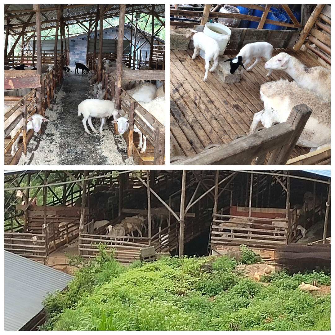 儿童手机游戏大全5-12岁_儿童手机游戏_儿童手机游戏排行榜