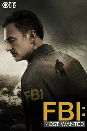 联邦调查局第一季-真实案例VS虚构元素：FBI第一季如何引入