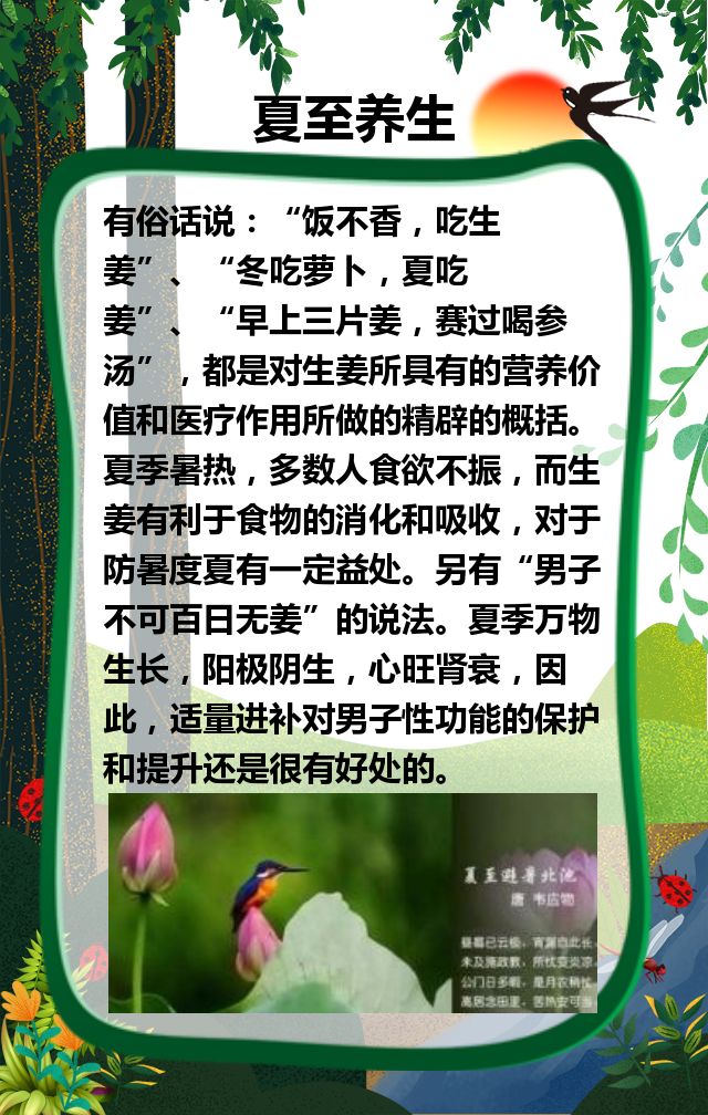 夏至是几月几号_夏至是哪一月_夏至日是什么月相