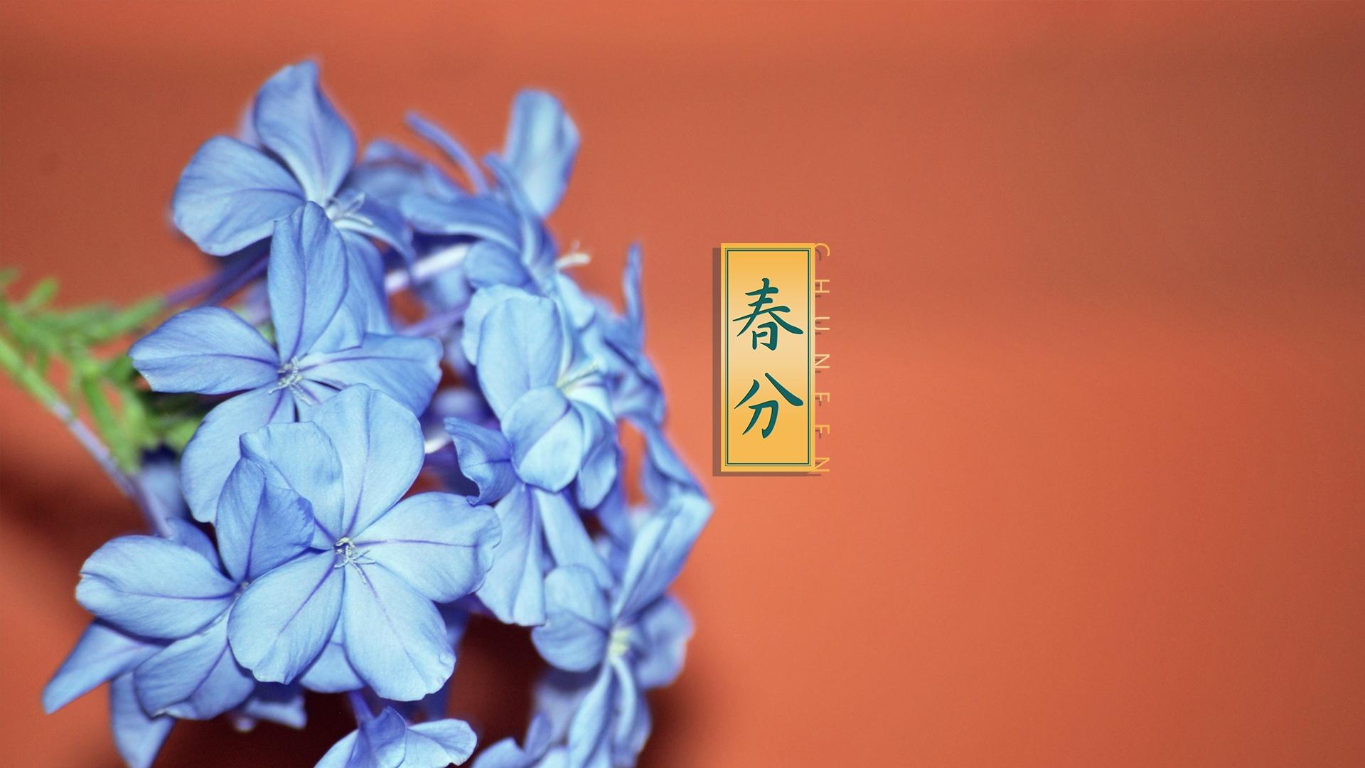 节气时间是固定的吗_二十四节气时间_节气时间2023