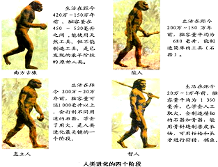 阿萨辛刺客集团_阿萨辛4_阿萨辛