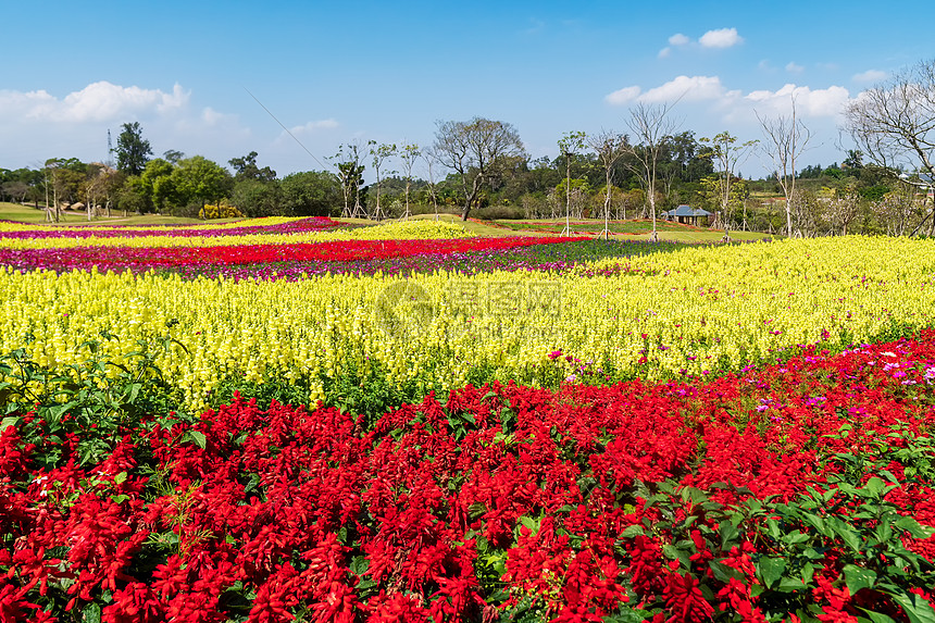 花映冢_花映冢_花映冢