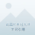 qq飞车手游论坛社区_qq飞车手机游戏论坛_qq飞车论坛官网
